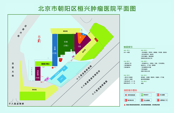 操逼操逼,大鸡巴,网站北京市朝阳区桓兴肿瘤医院平面图